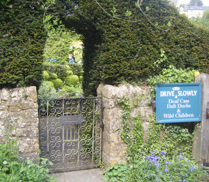 dscf0518.jpg