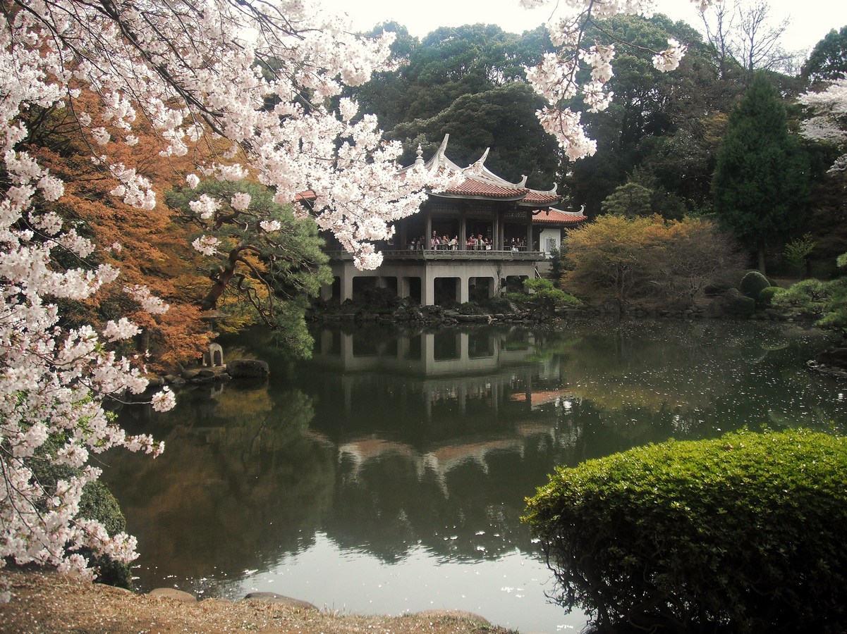 dscf0983г.jpg