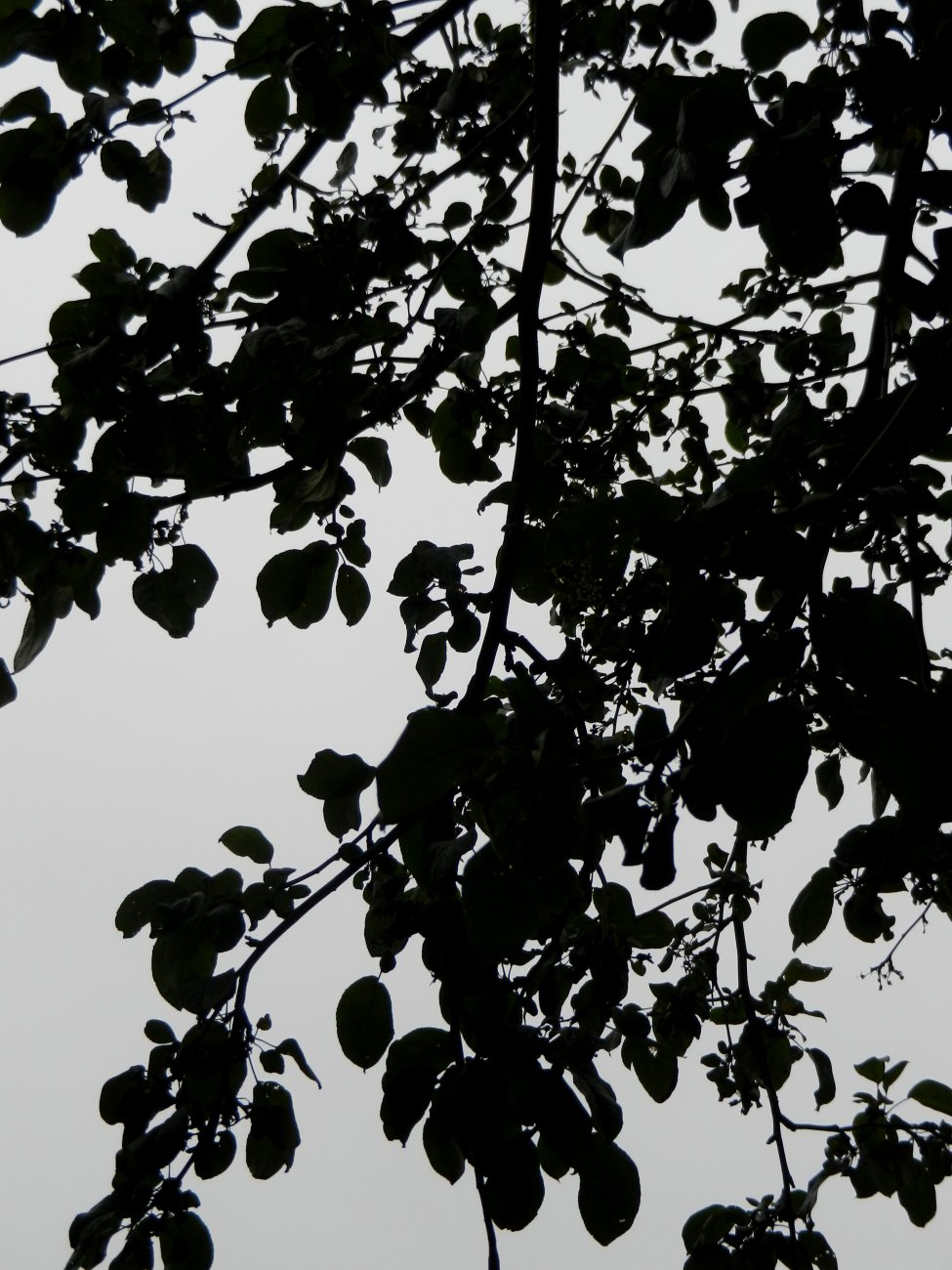DSCN0031.JPG