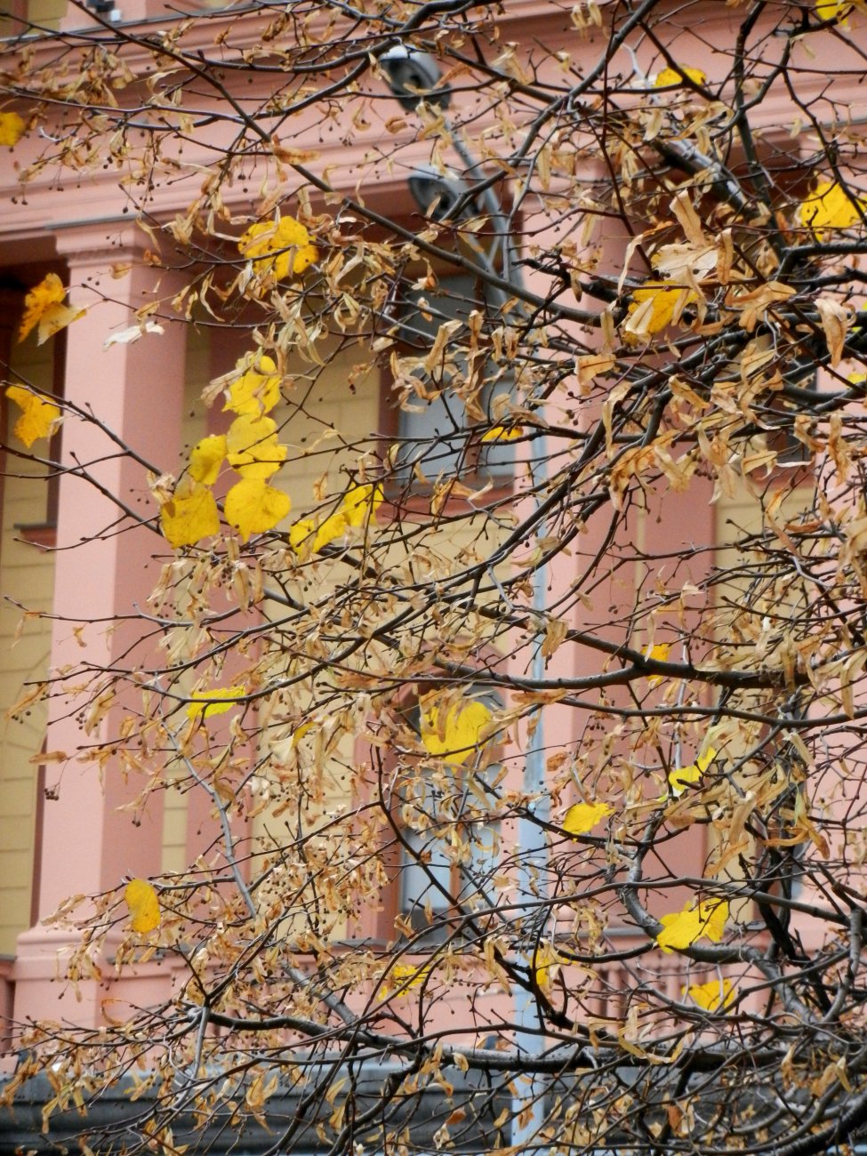 DSCN0074.JPG