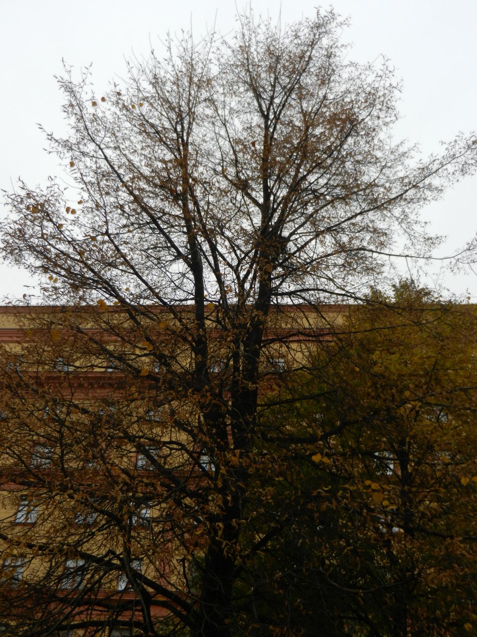 DSCN0075.JPG