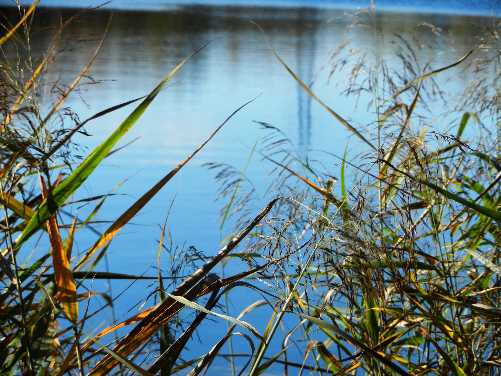 DSCN0127.JPG