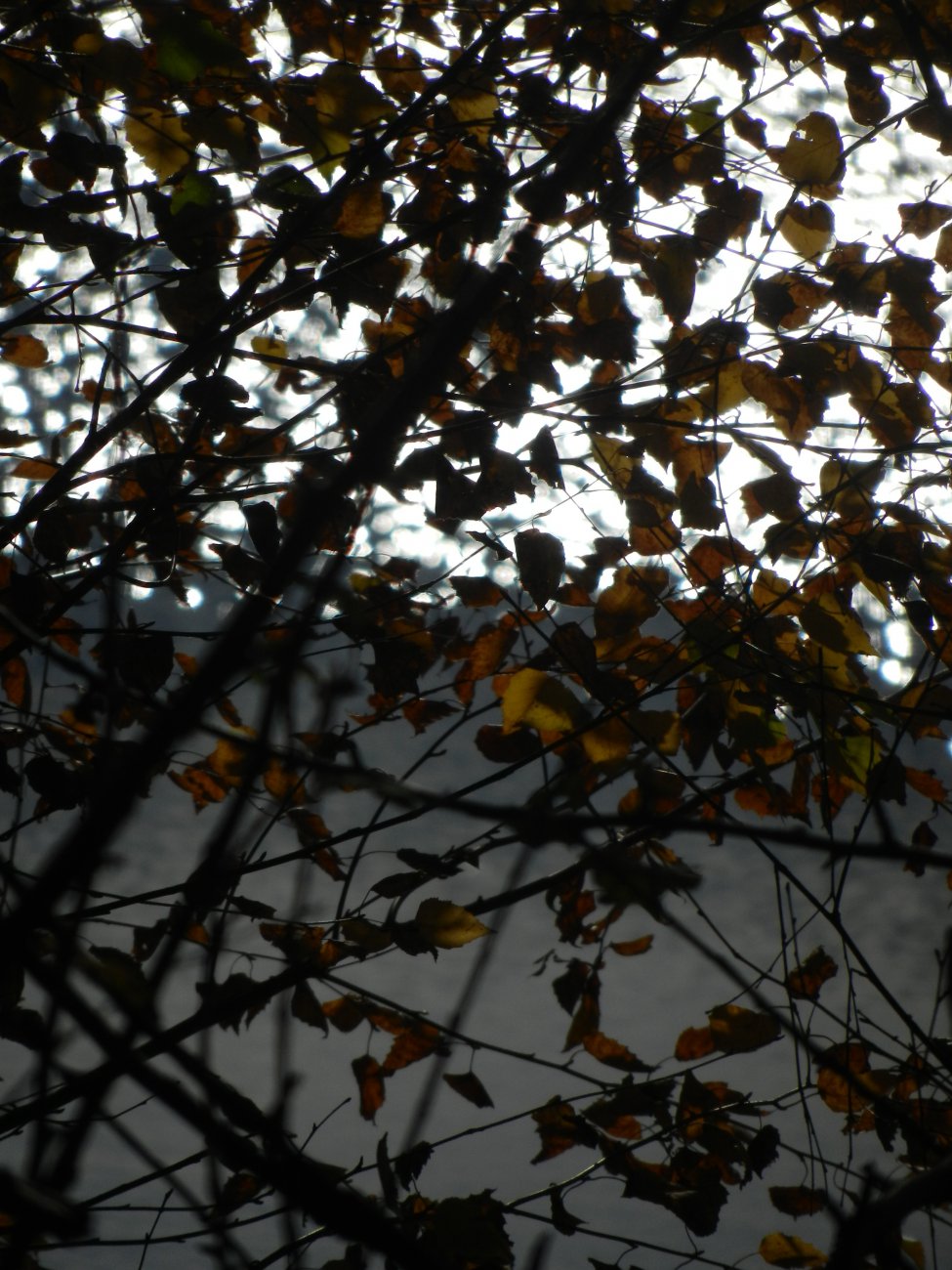 DSCN0141.JPG