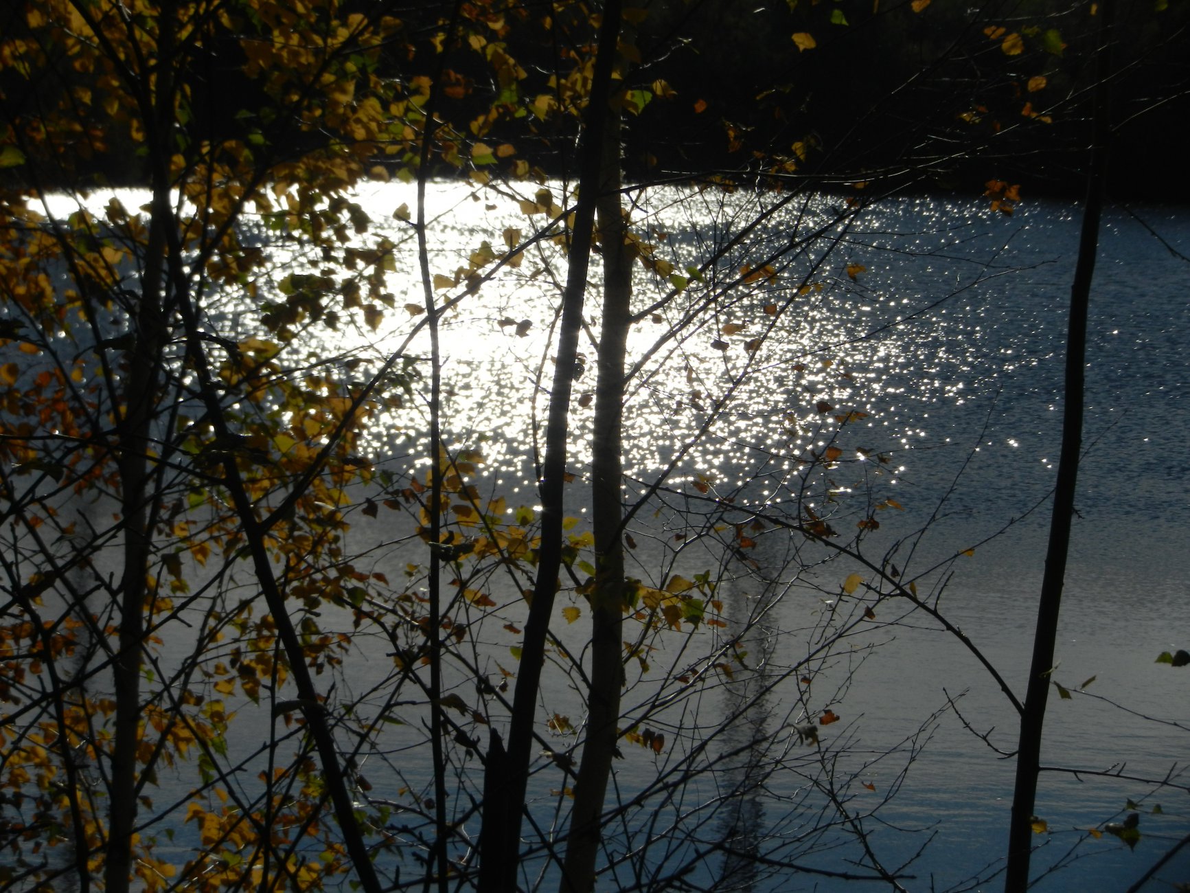 DSCN0142.JPG