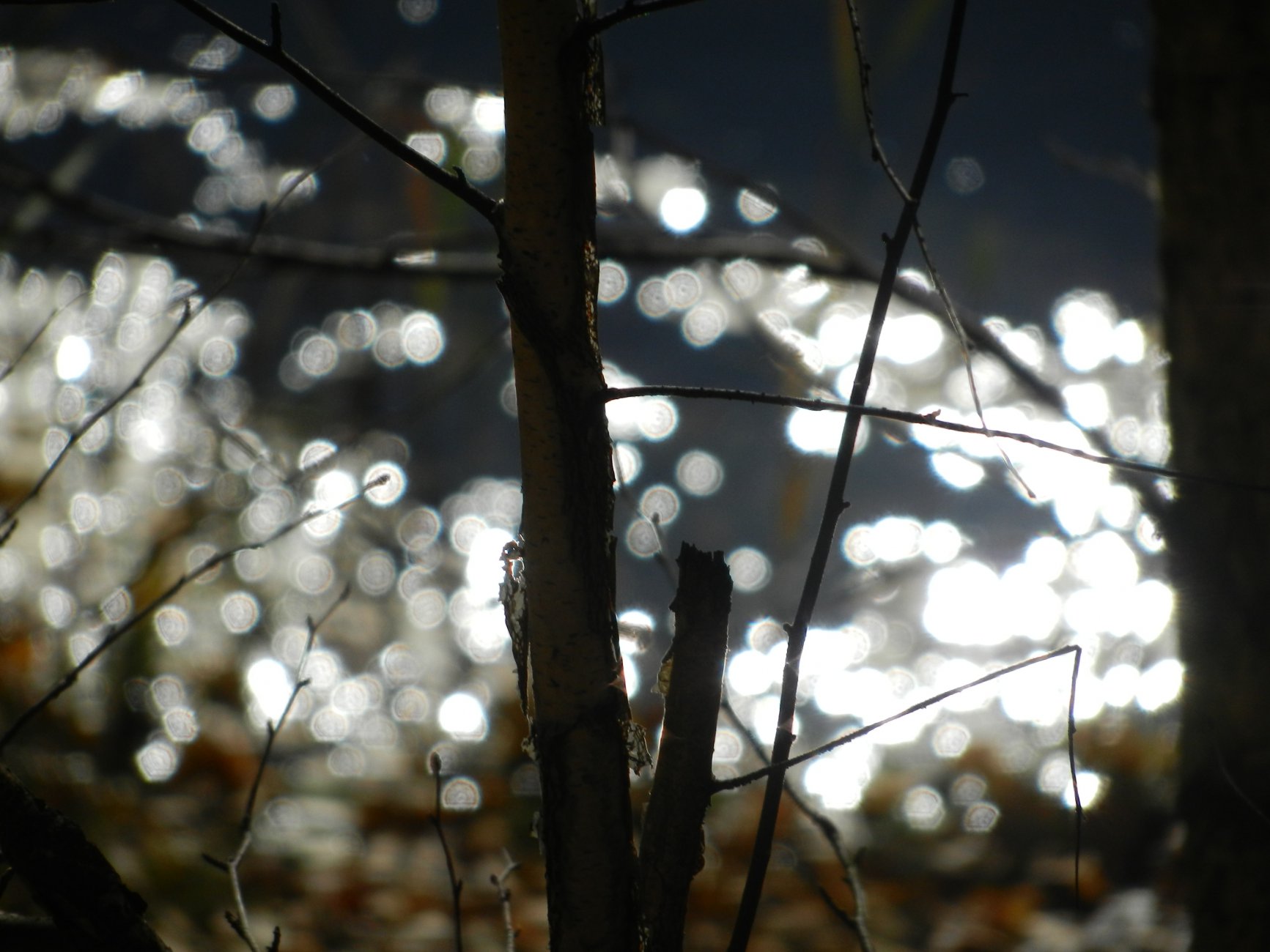 DSCN0146.JPG