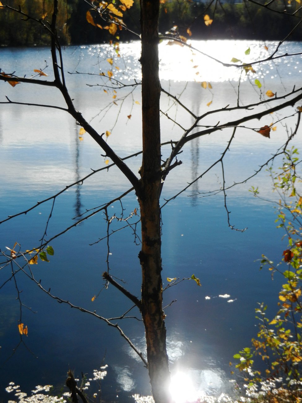DSCN0151.JPG