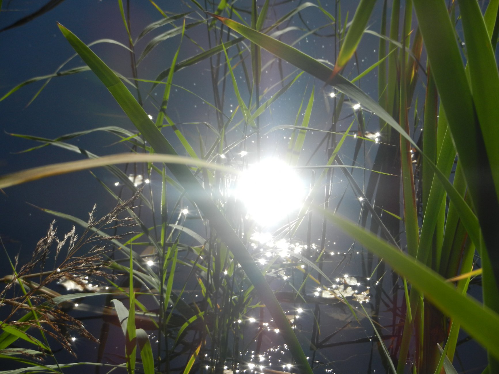 DSCN0156.JPG