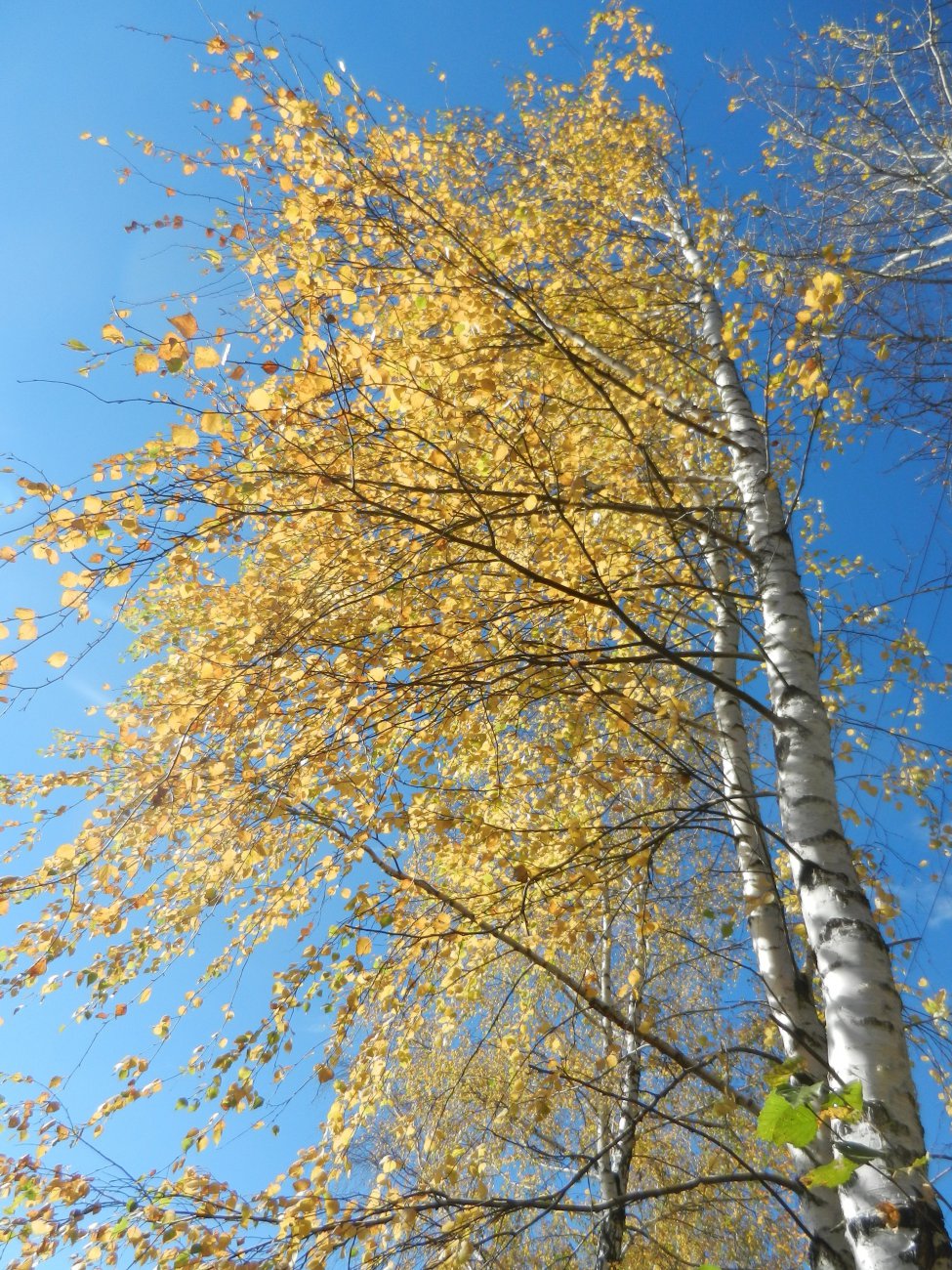 DSCN0158.JPG