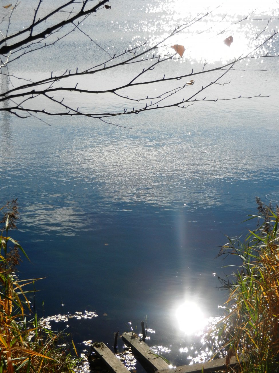 DSCN0161.JPG