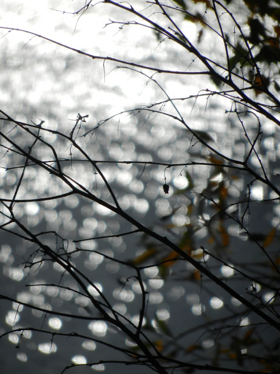 DSCN0165.JPG