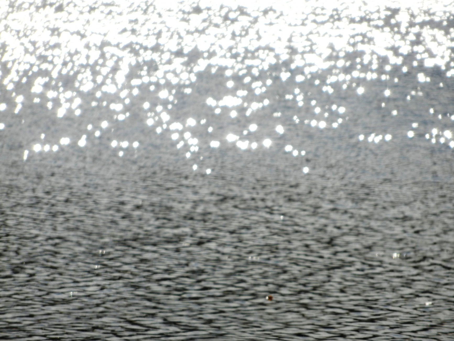 DSCN0173.JPG