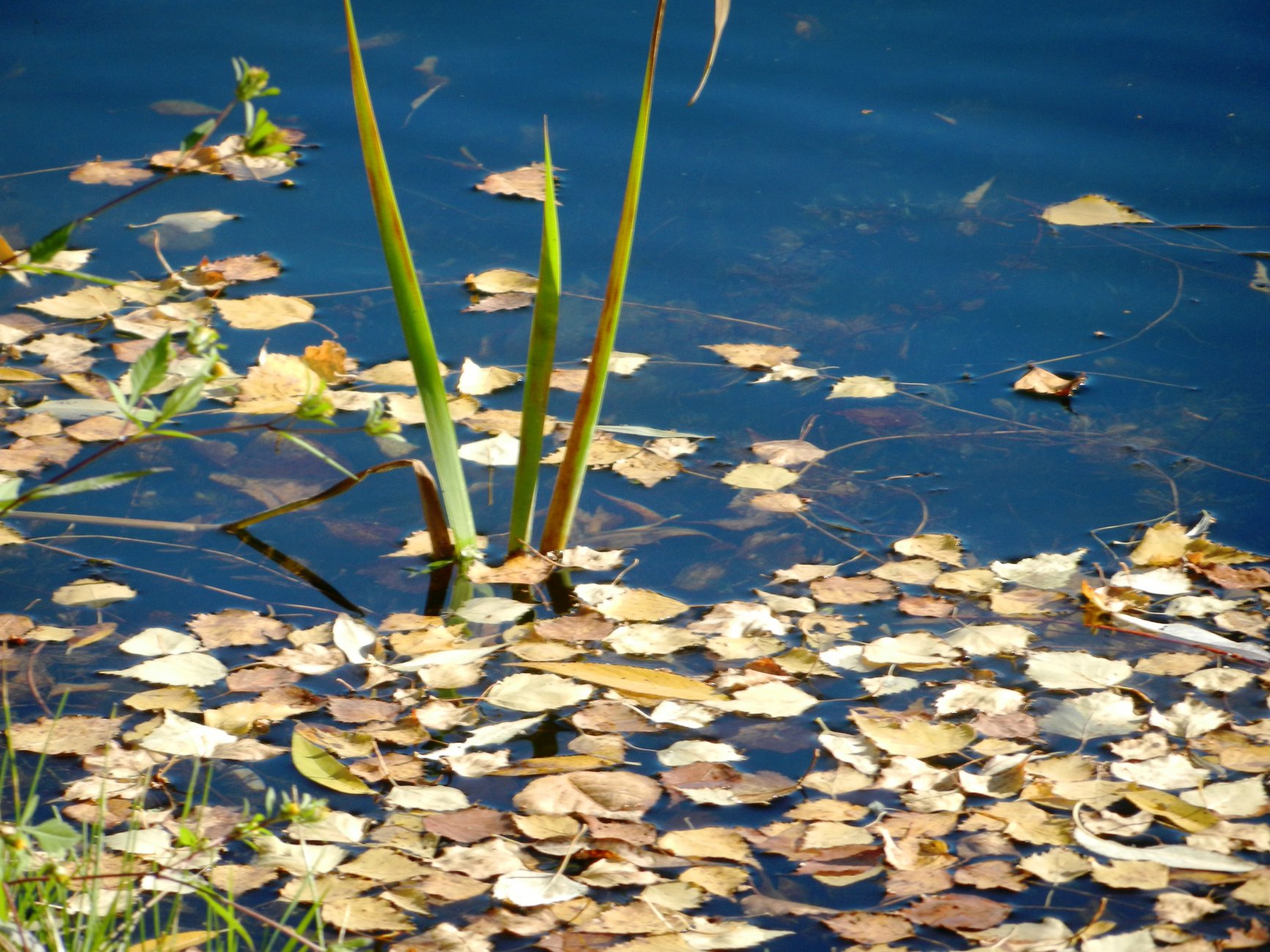 DSCN0176.JPG