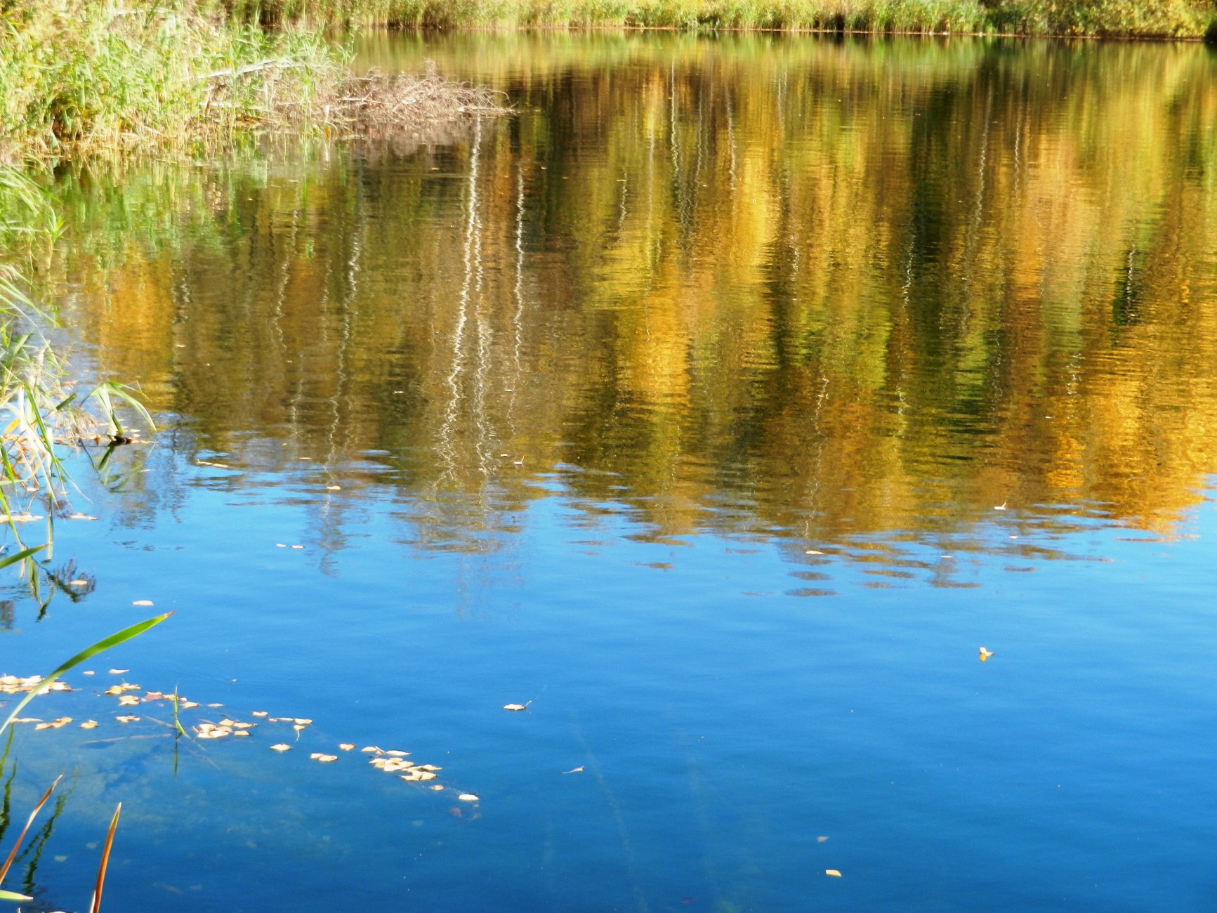 DSCN0178.JPG