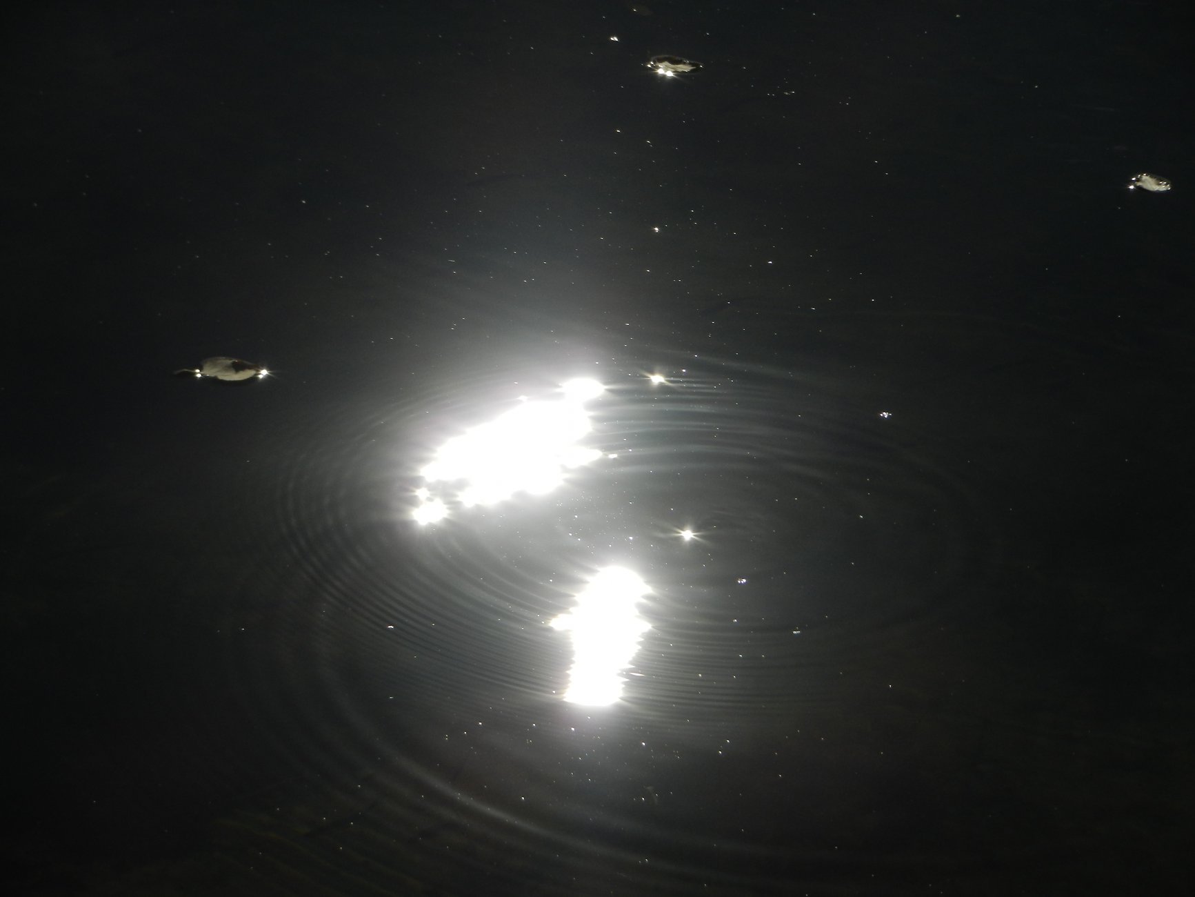DSCN0183.JPG