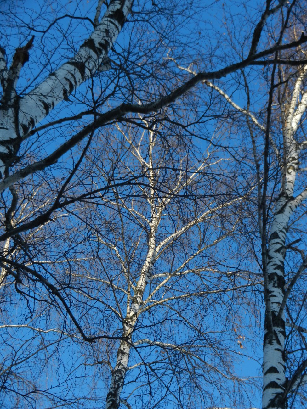DSCN0280.JPG