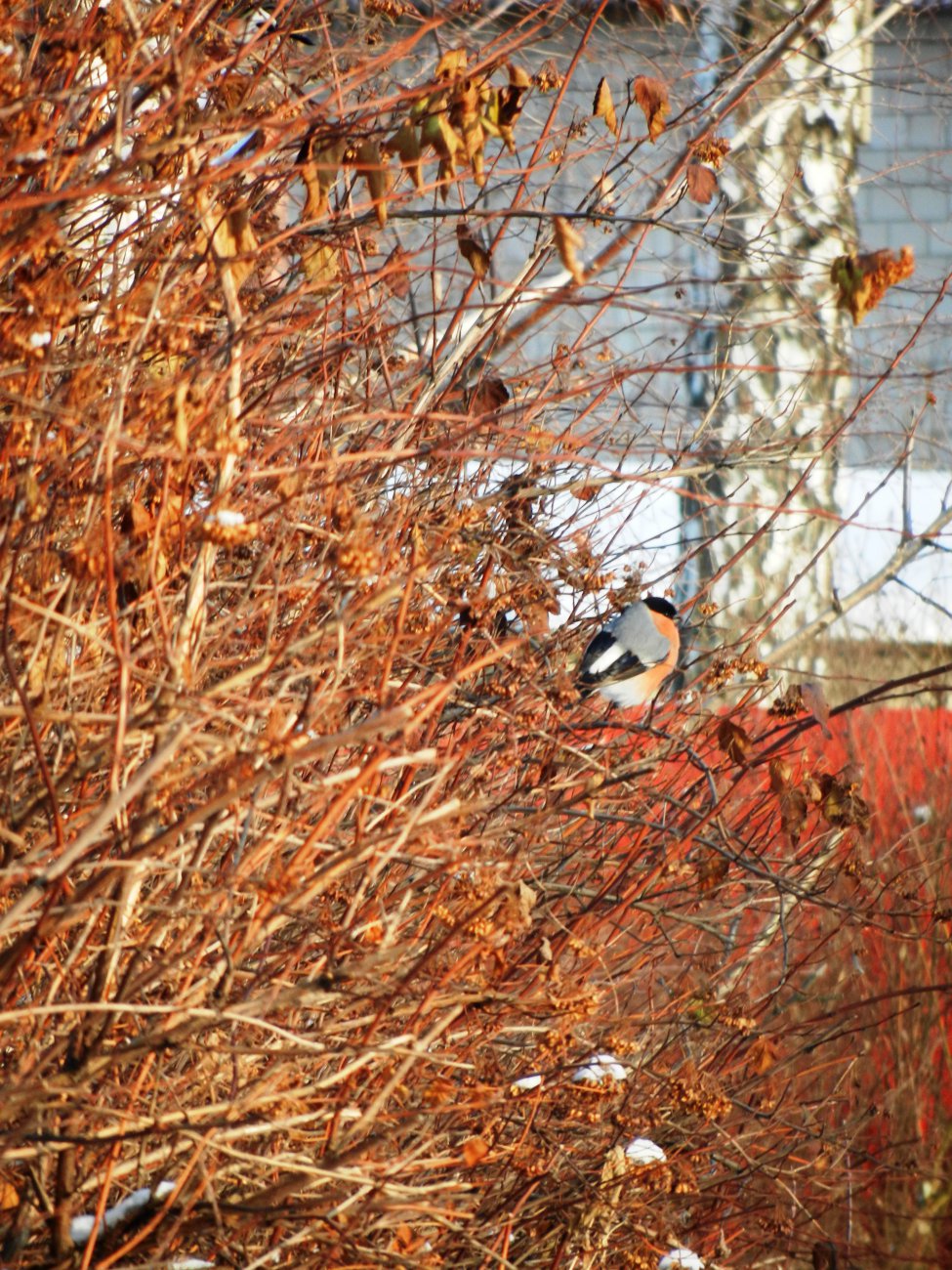 DSCN0315.JPG