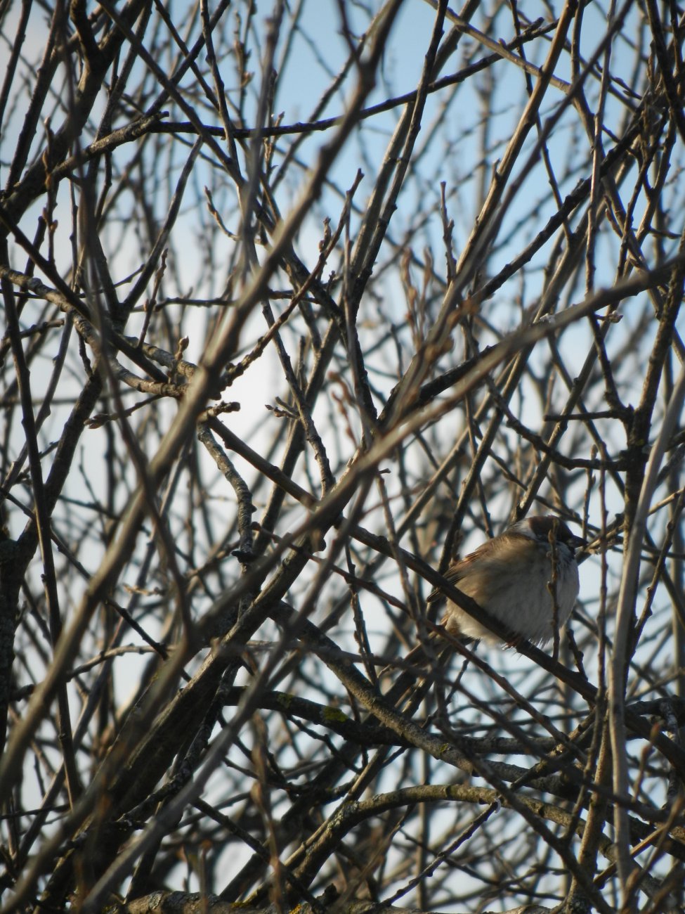 DSCN0328.JPG