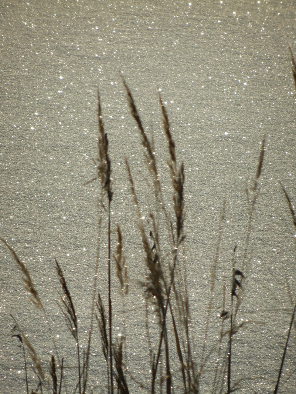 DSCN0345.JPG