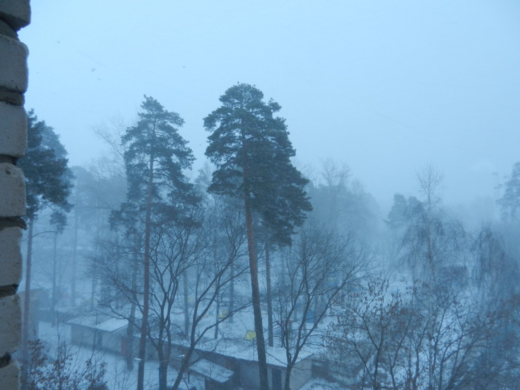 DSCN0376.JPG