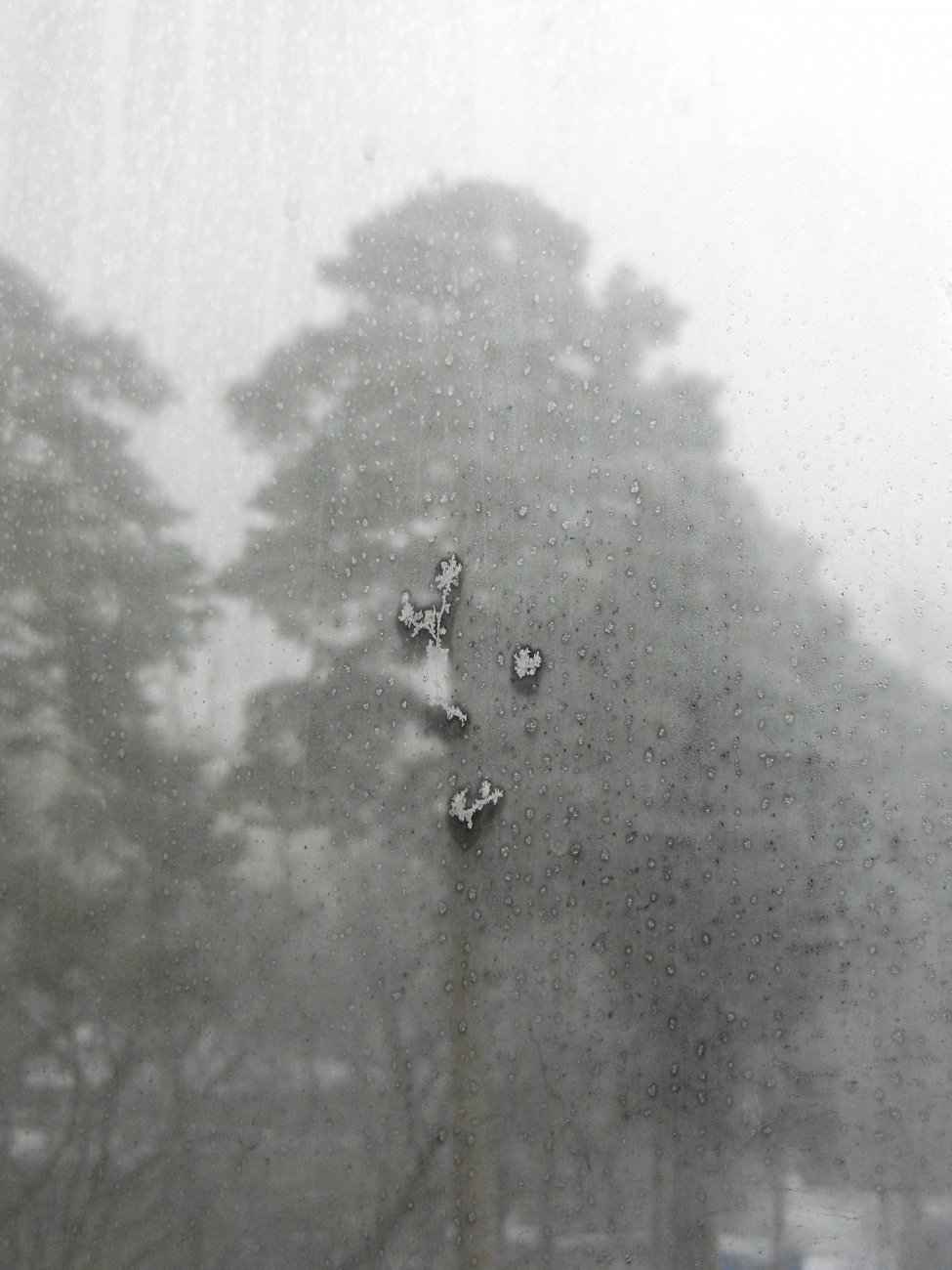DSCN0380.JPG