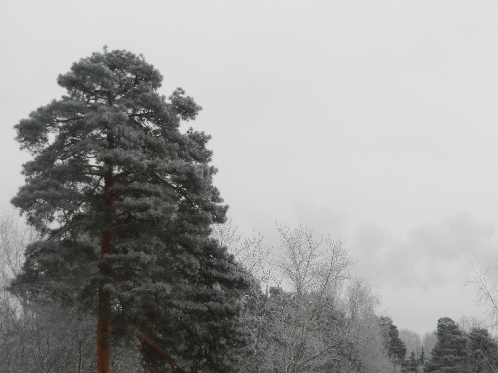 DSCN0395.JPG