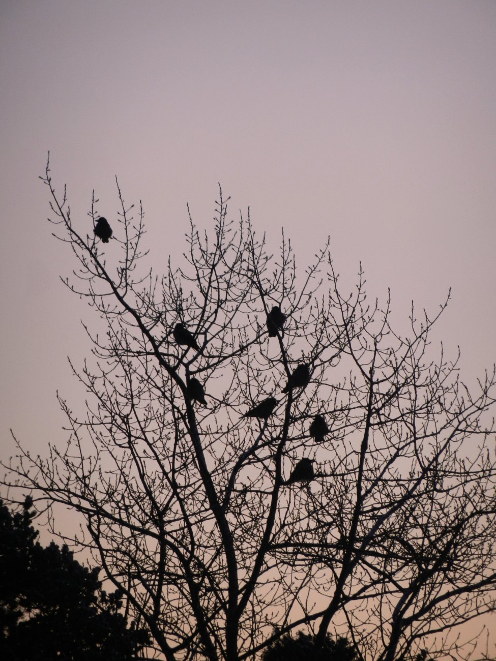 DSCN0409.JPG