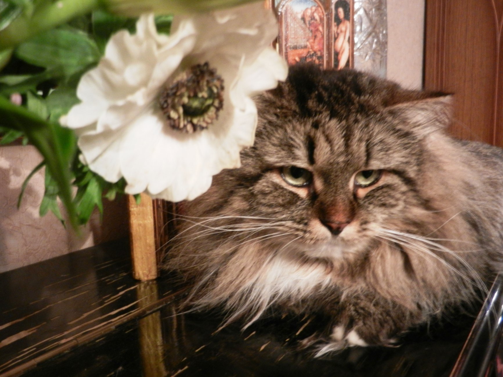 DSCN0423.JPG