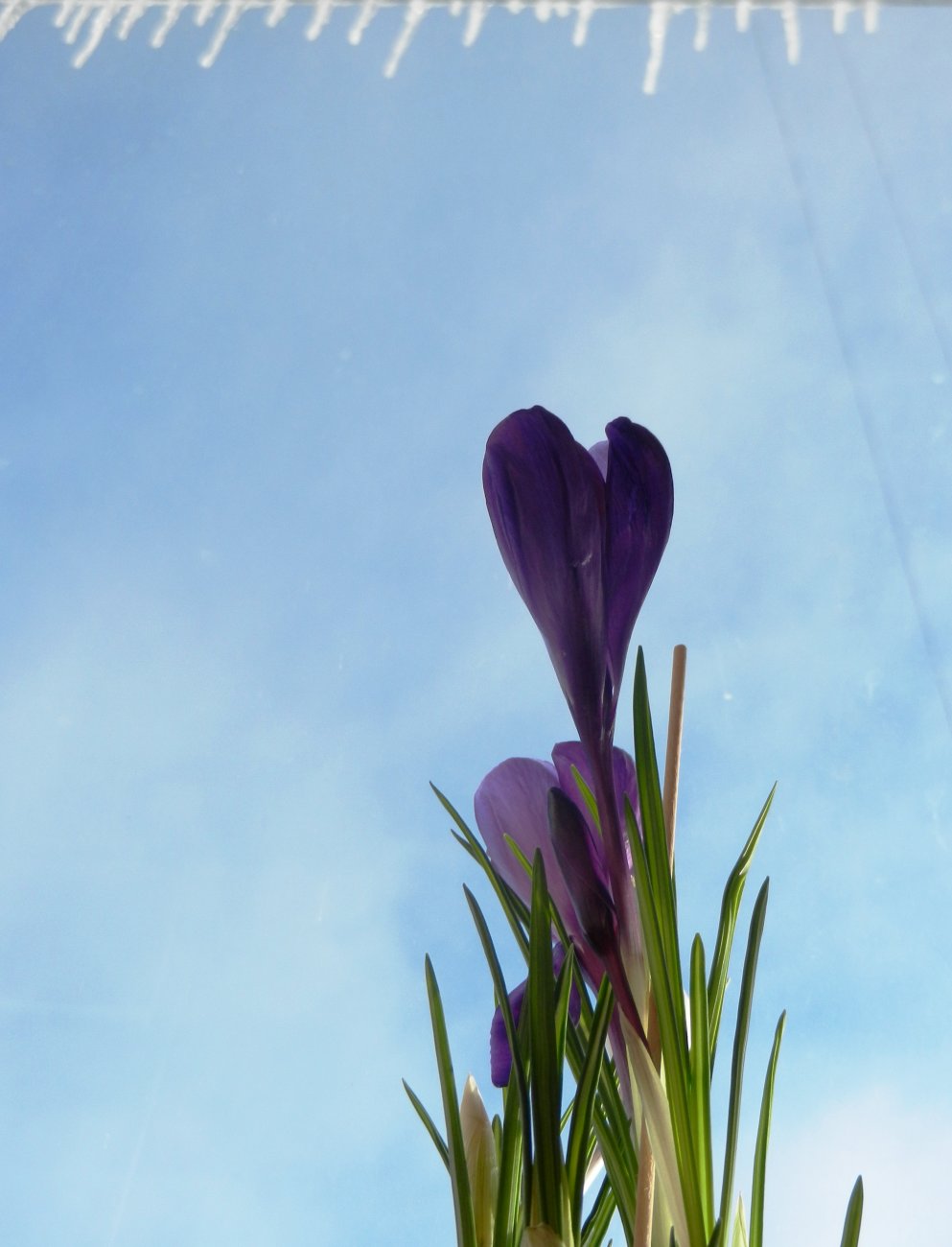 DSCN0504.JPG