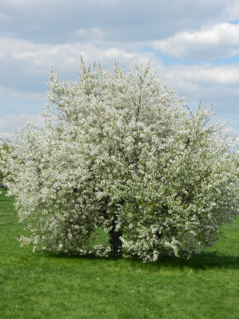 DSCN0509.JPG