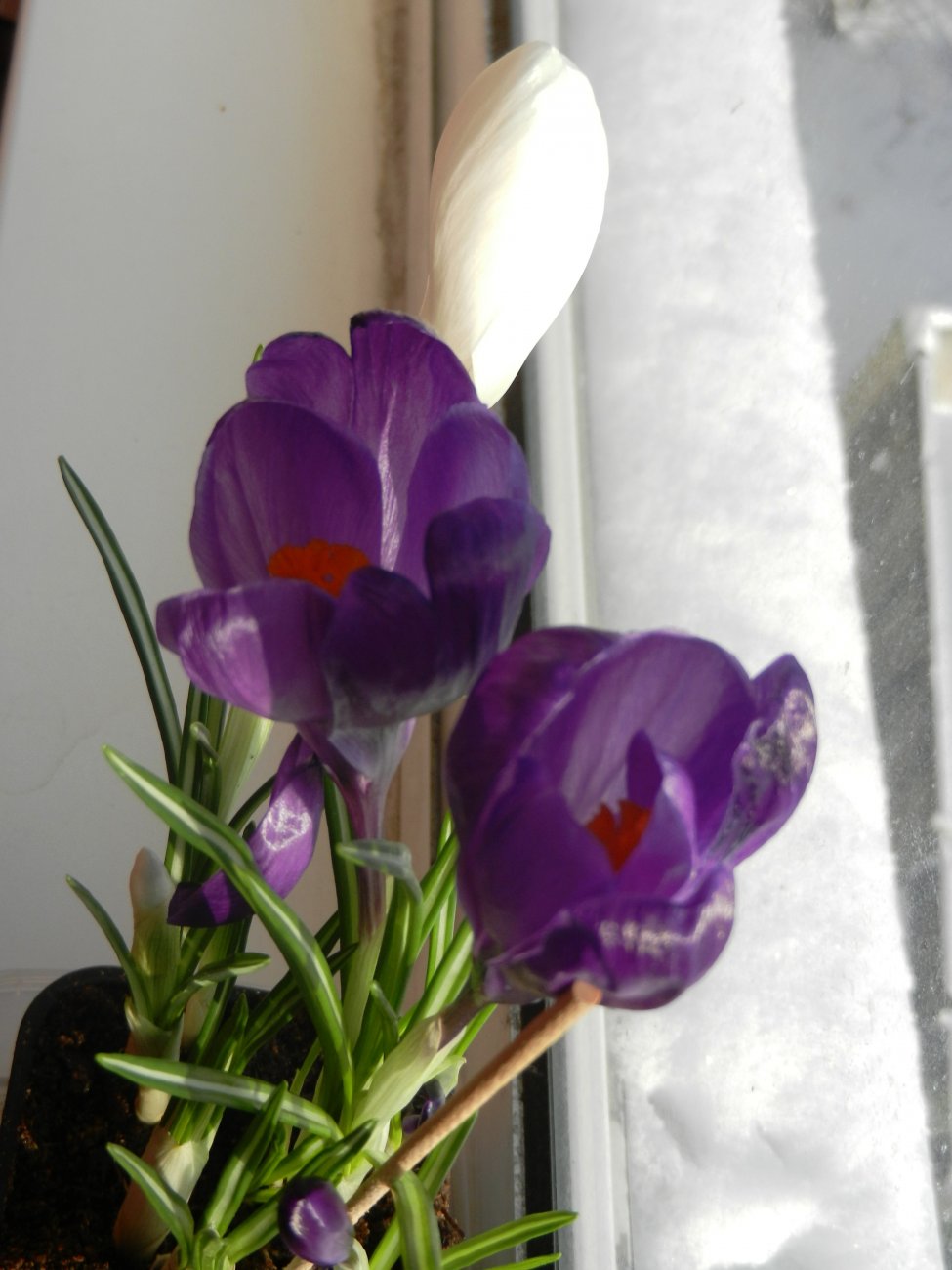 DSCN0510.JPG