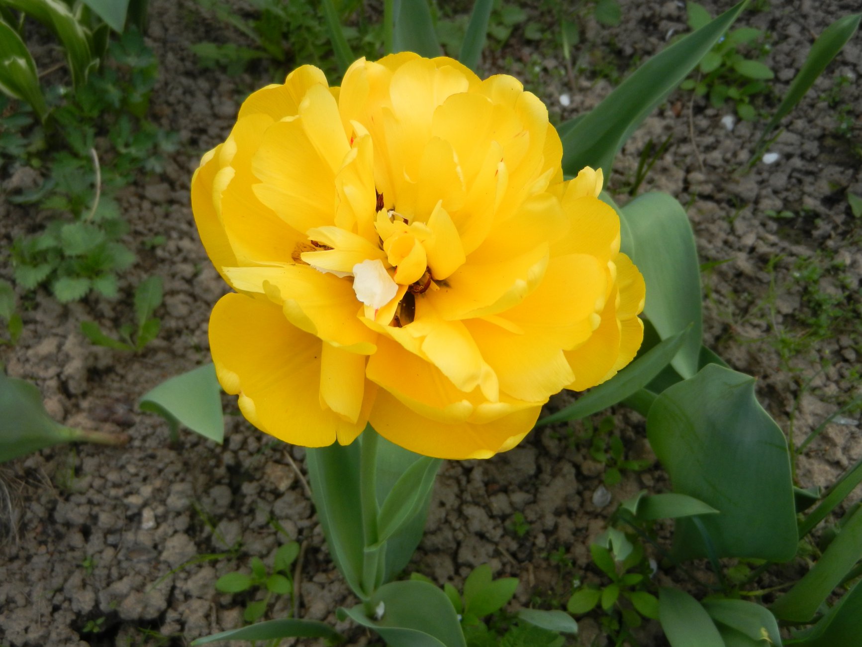 DSCN0518.JPG