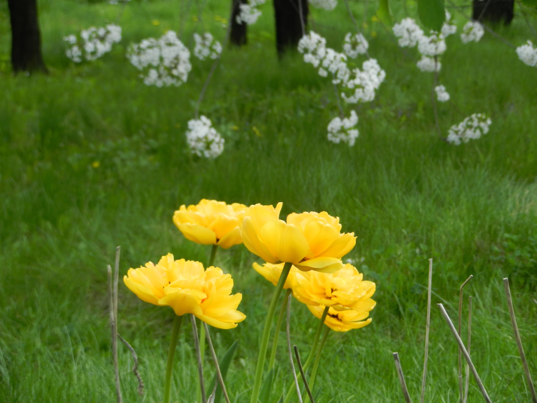 DSCN0520.JPG