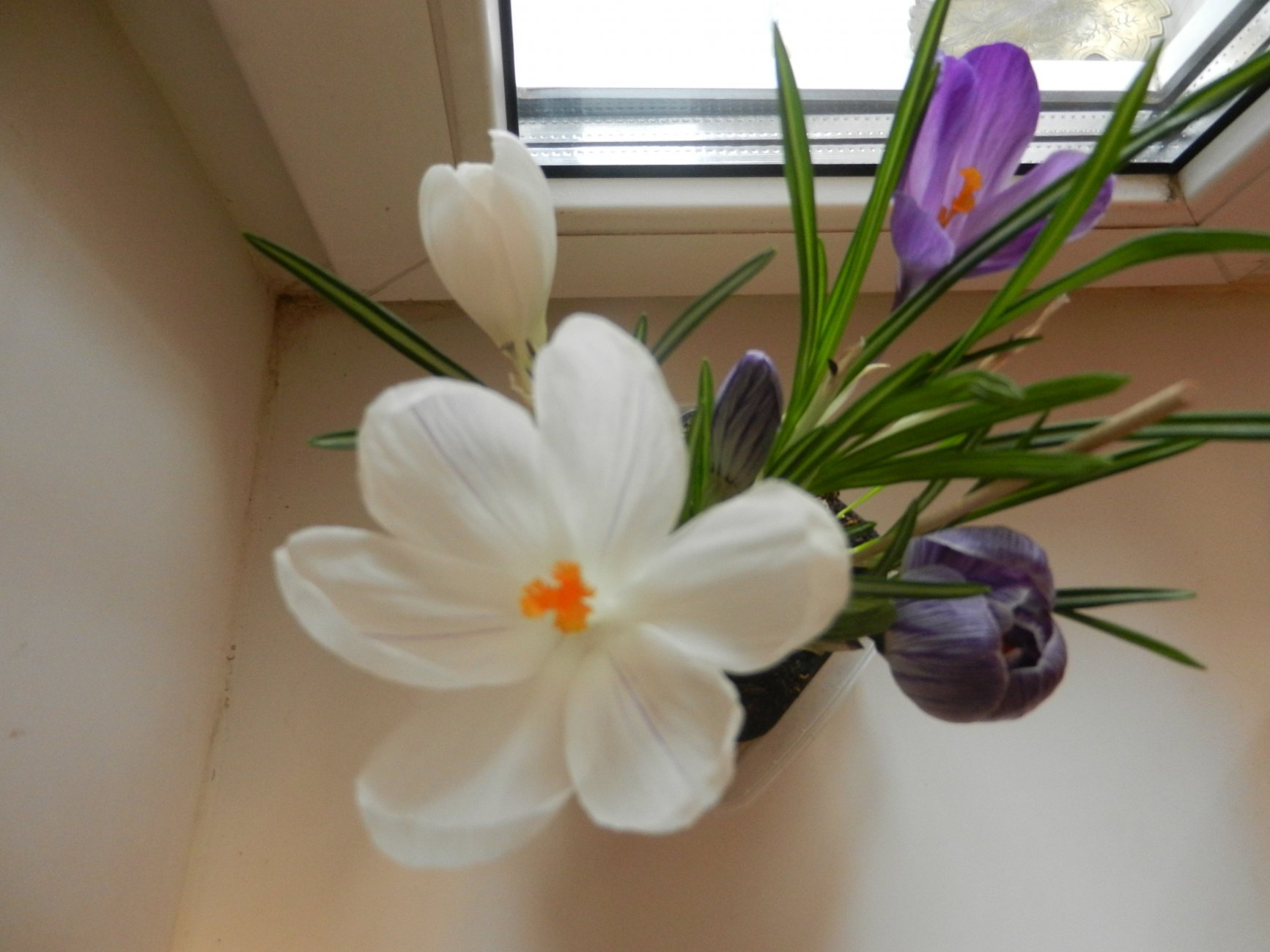 DSCN0525.JPG