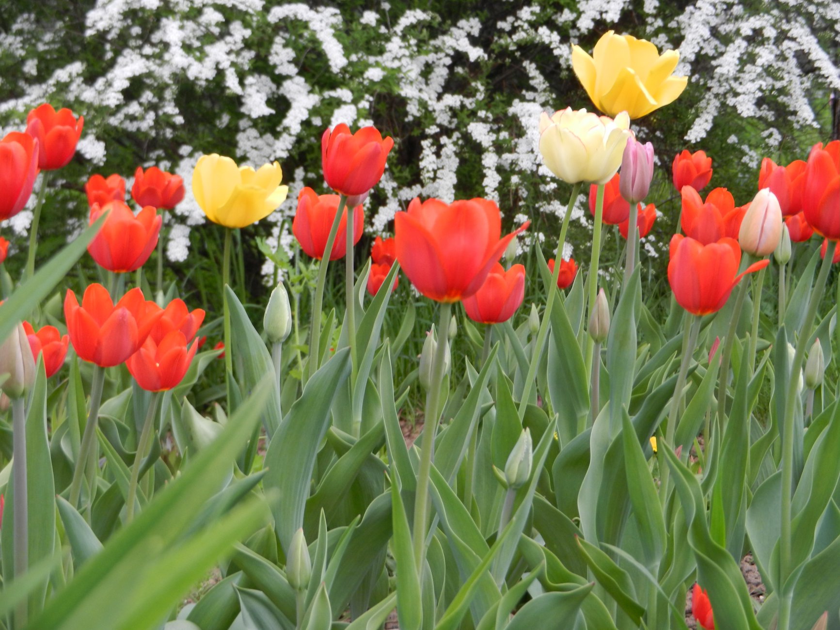 DSCN0527.JPG
