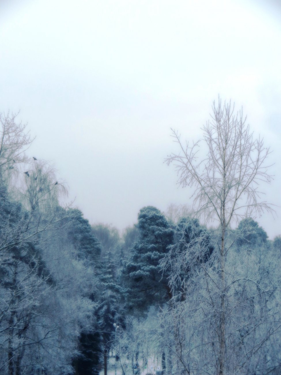 DSCN0531.JPG