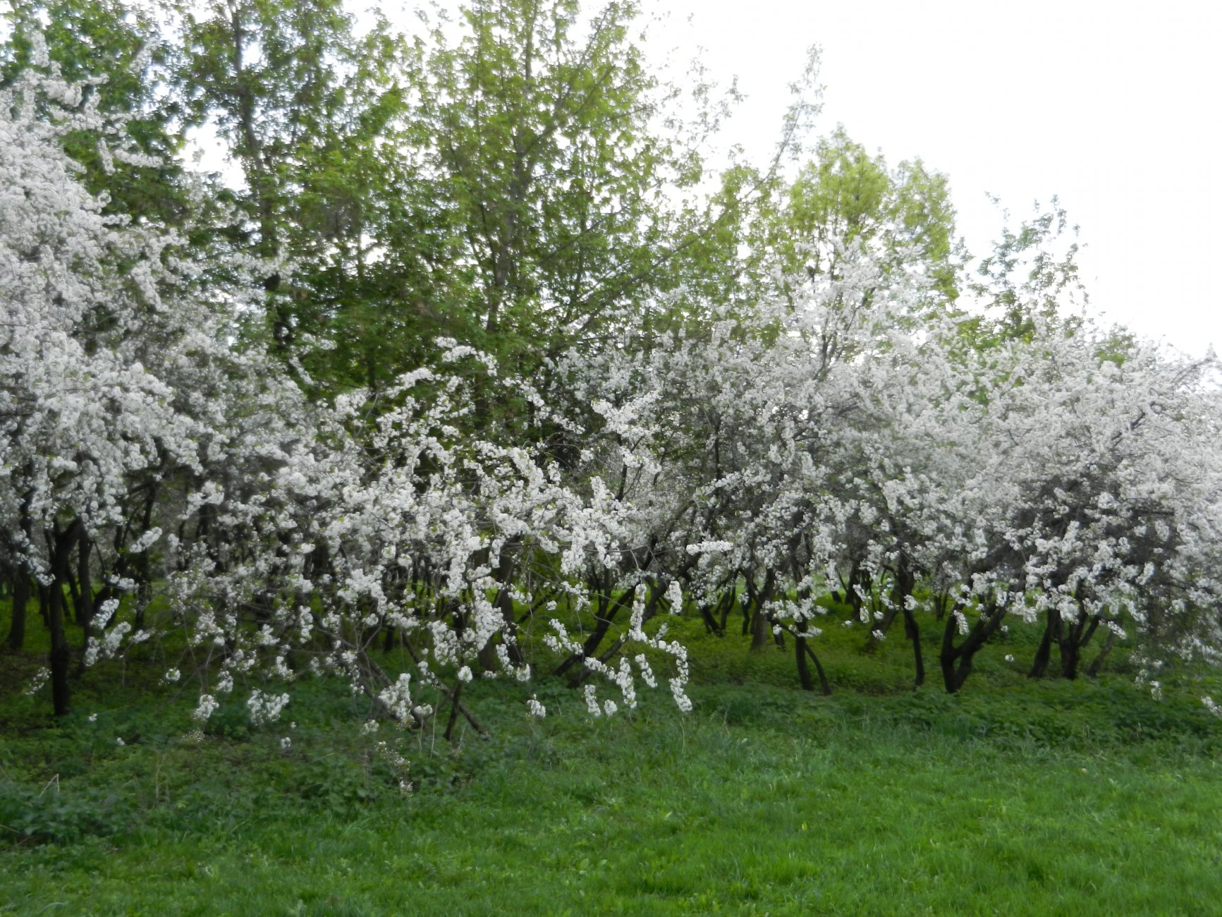 DSCN0535.JPG