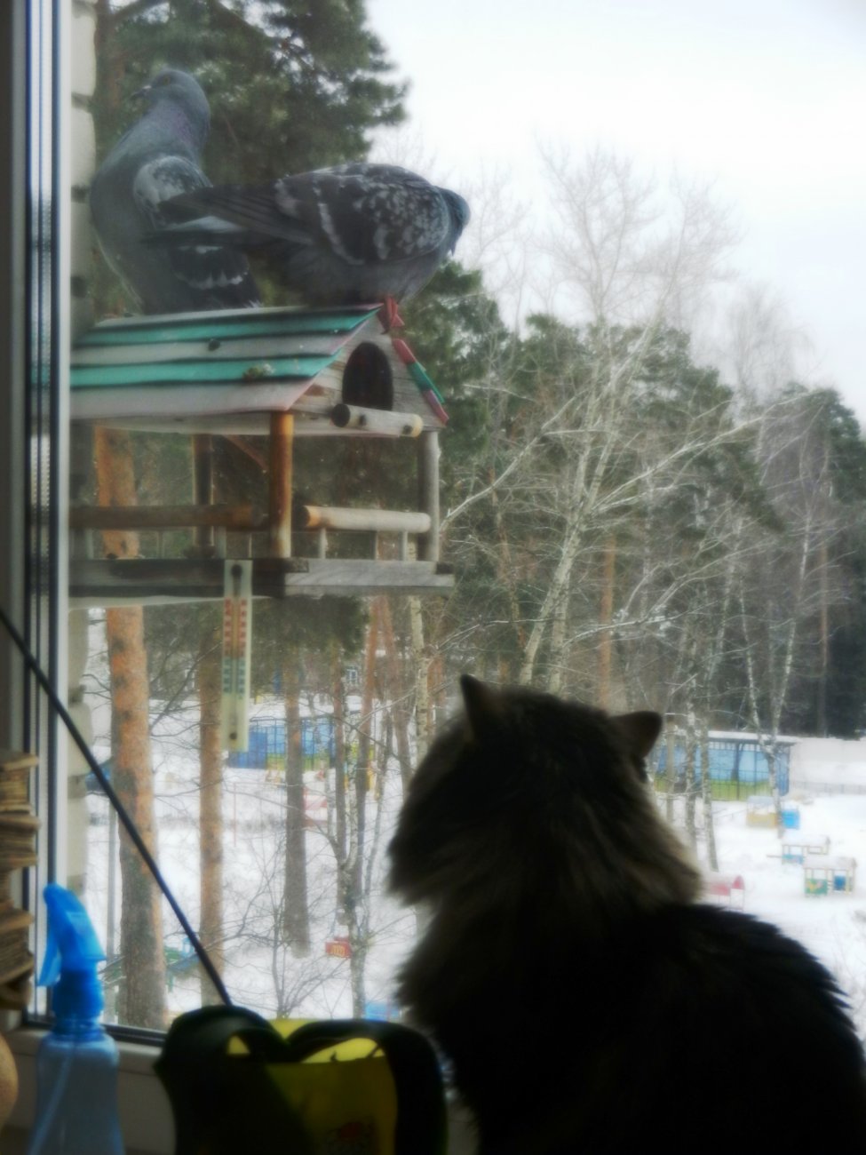 DSCN0535.JPG