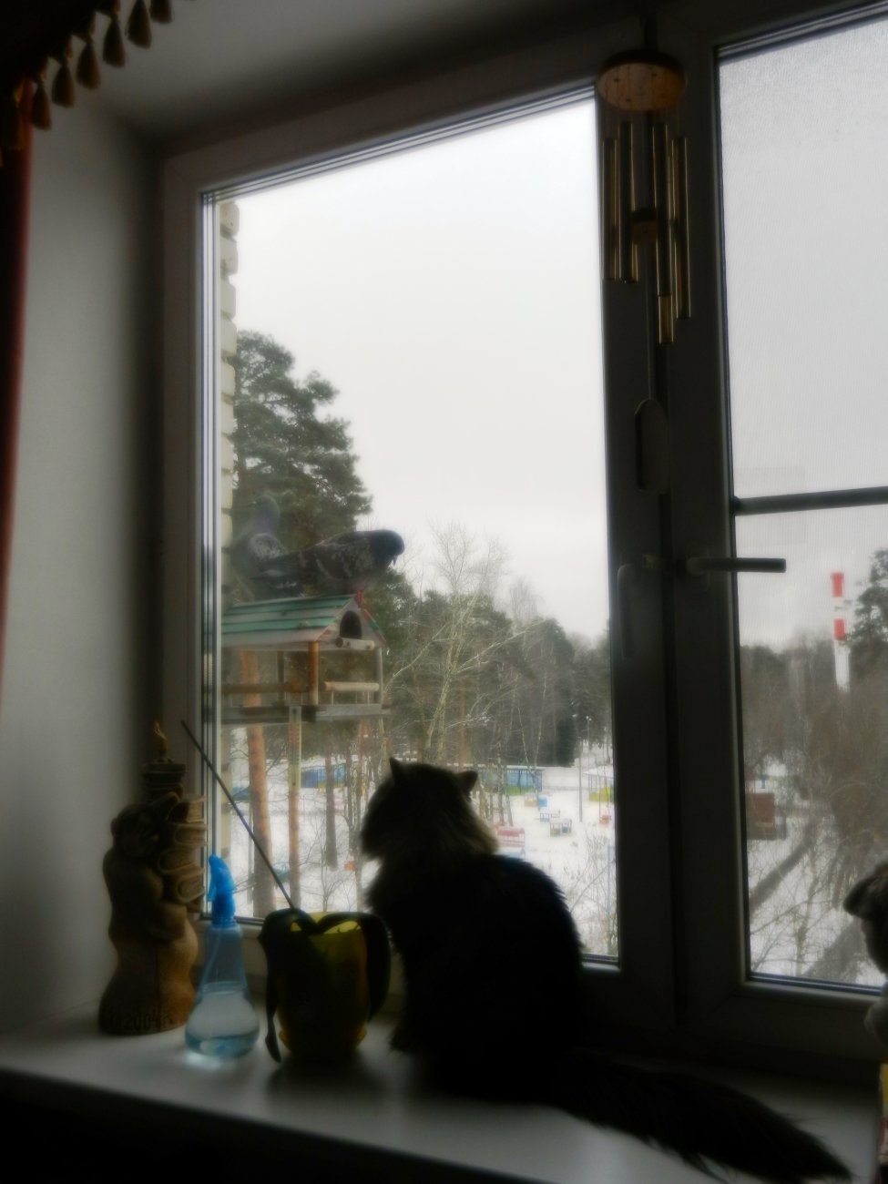 DSCN0537.JPG