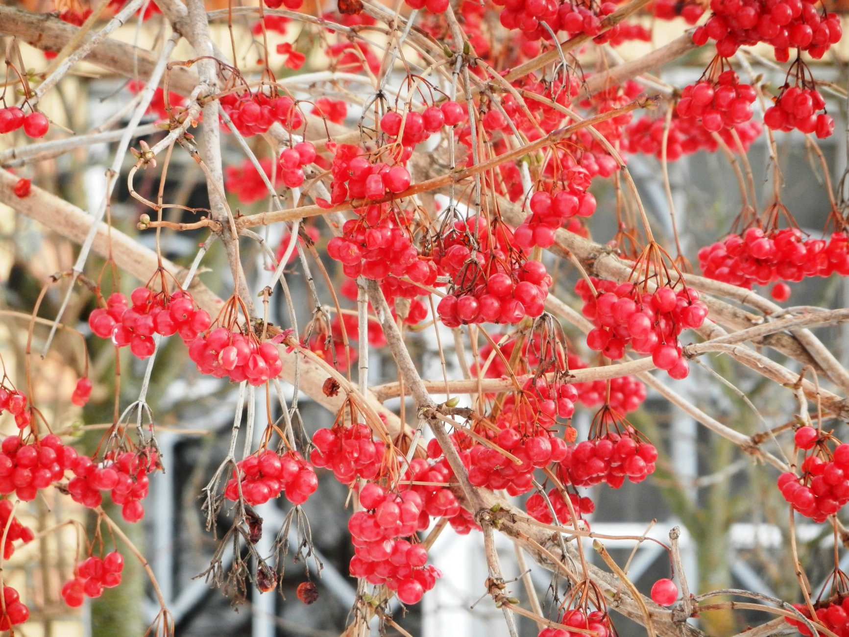 DSCN0546.JPG