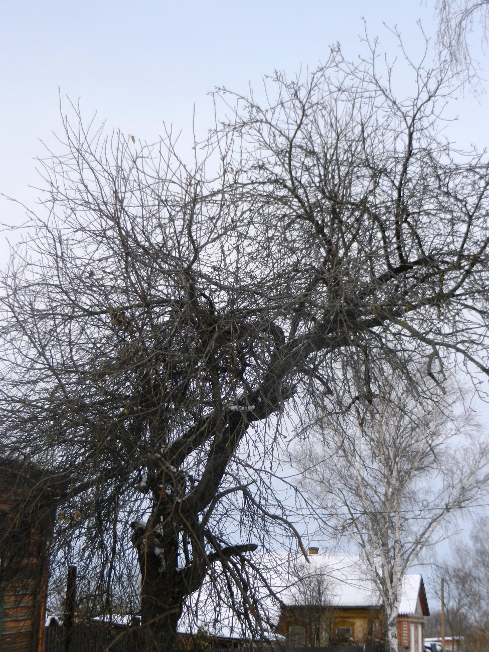 DSCN0550.JPG