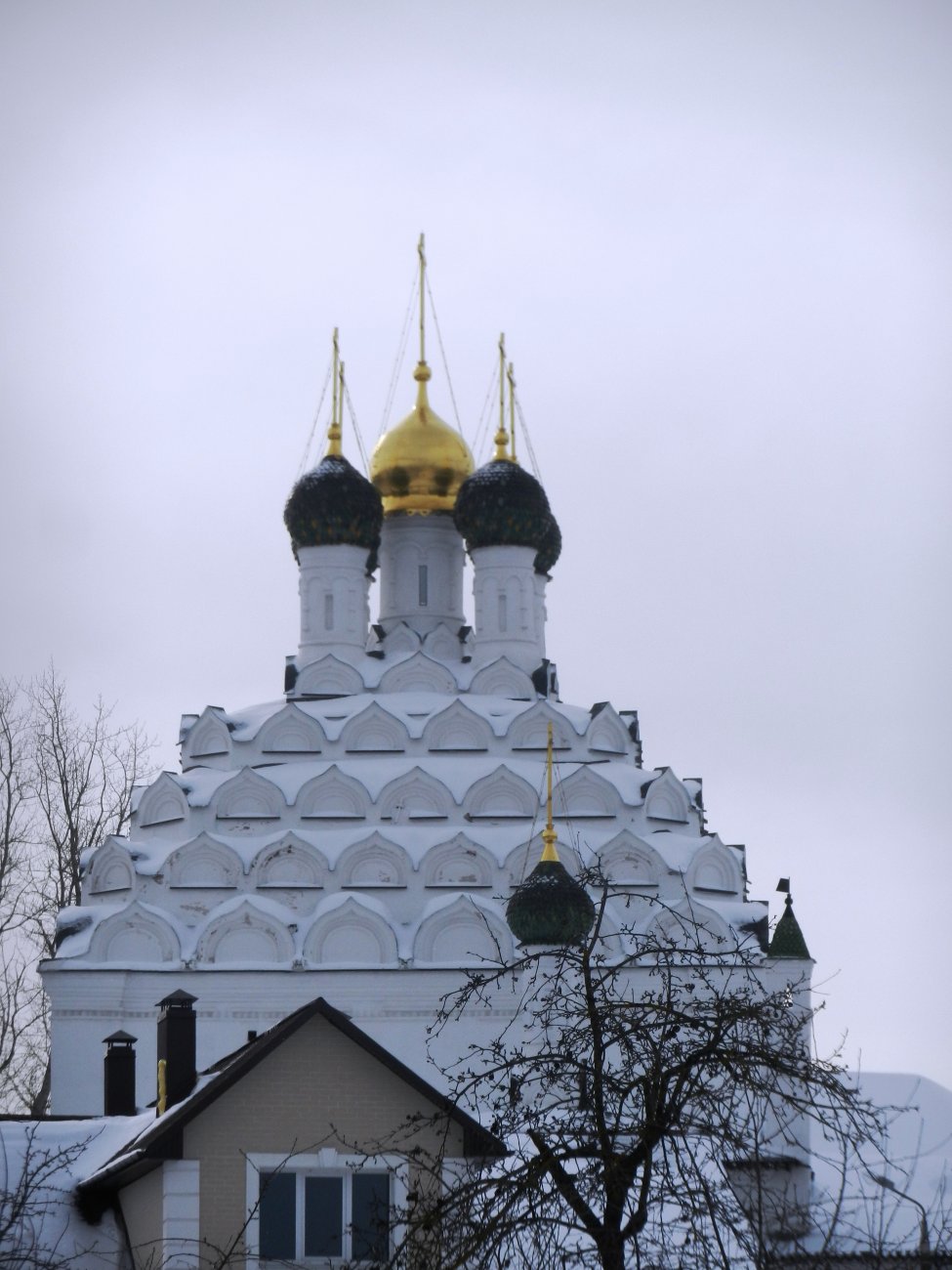 DSCN0553.JPG