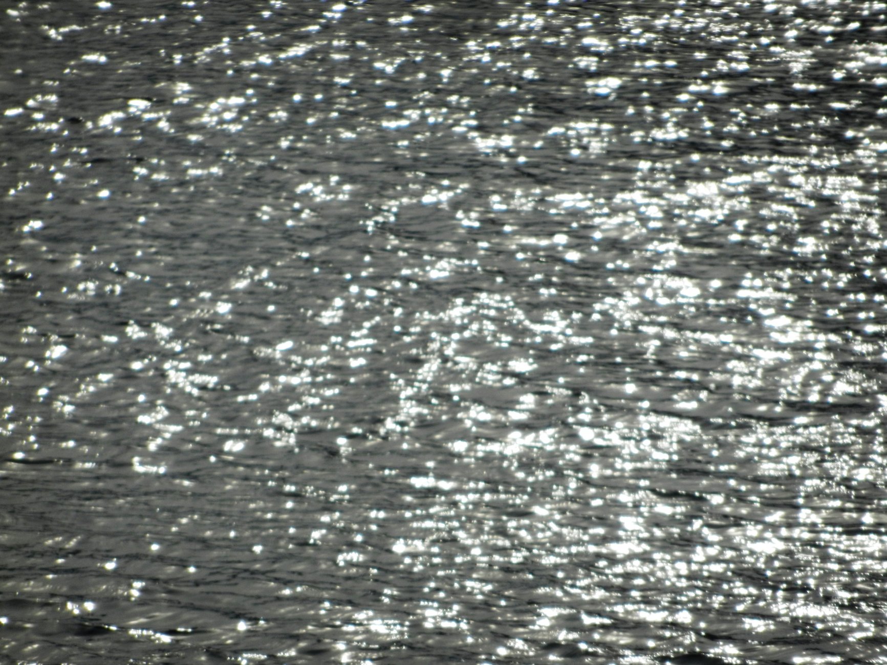 DSCN0561.JPG