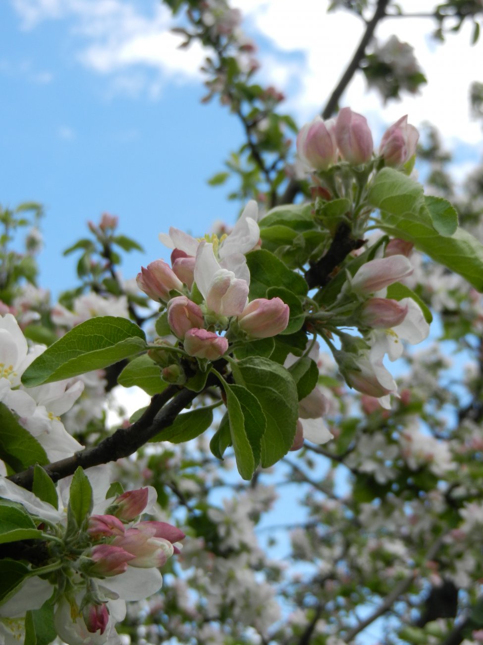 DSCN0571.JPG
