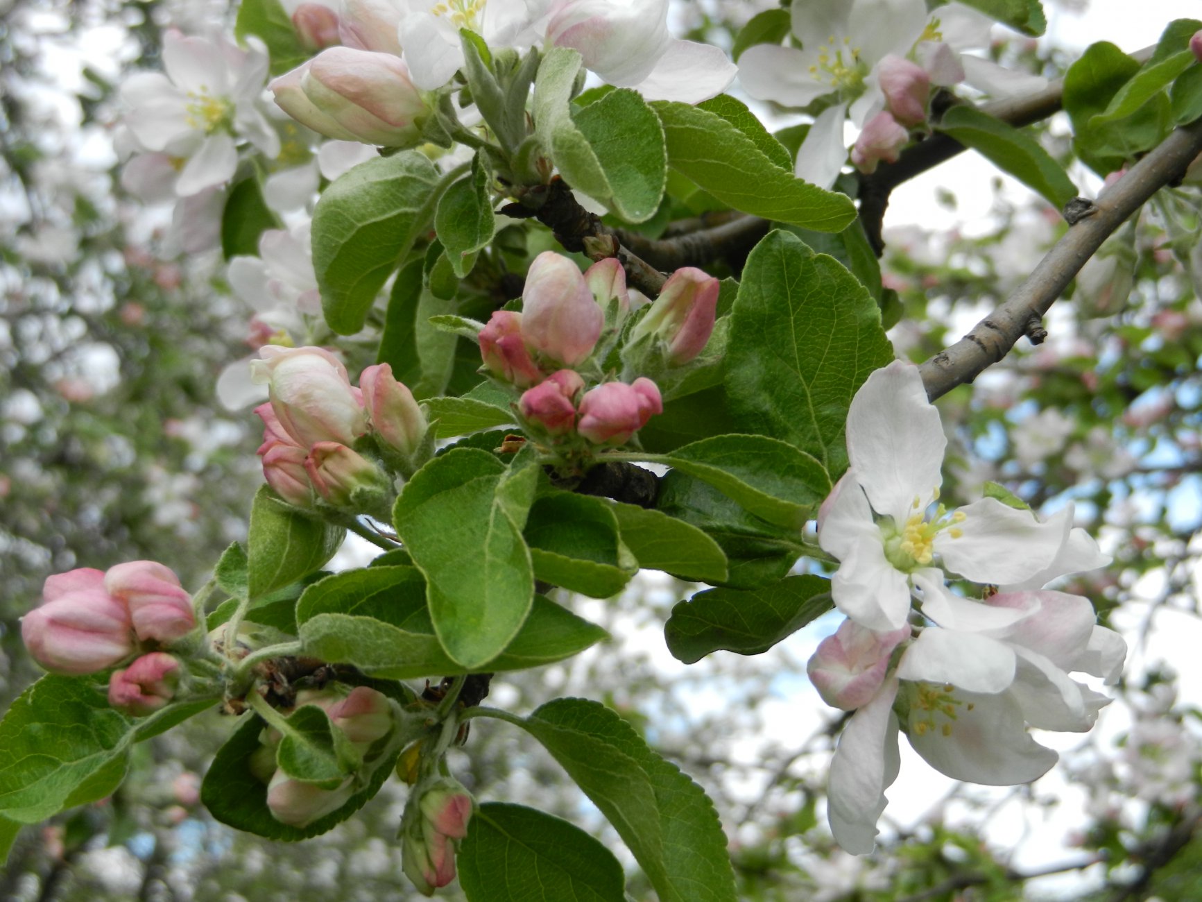 DSCN0572.JPG