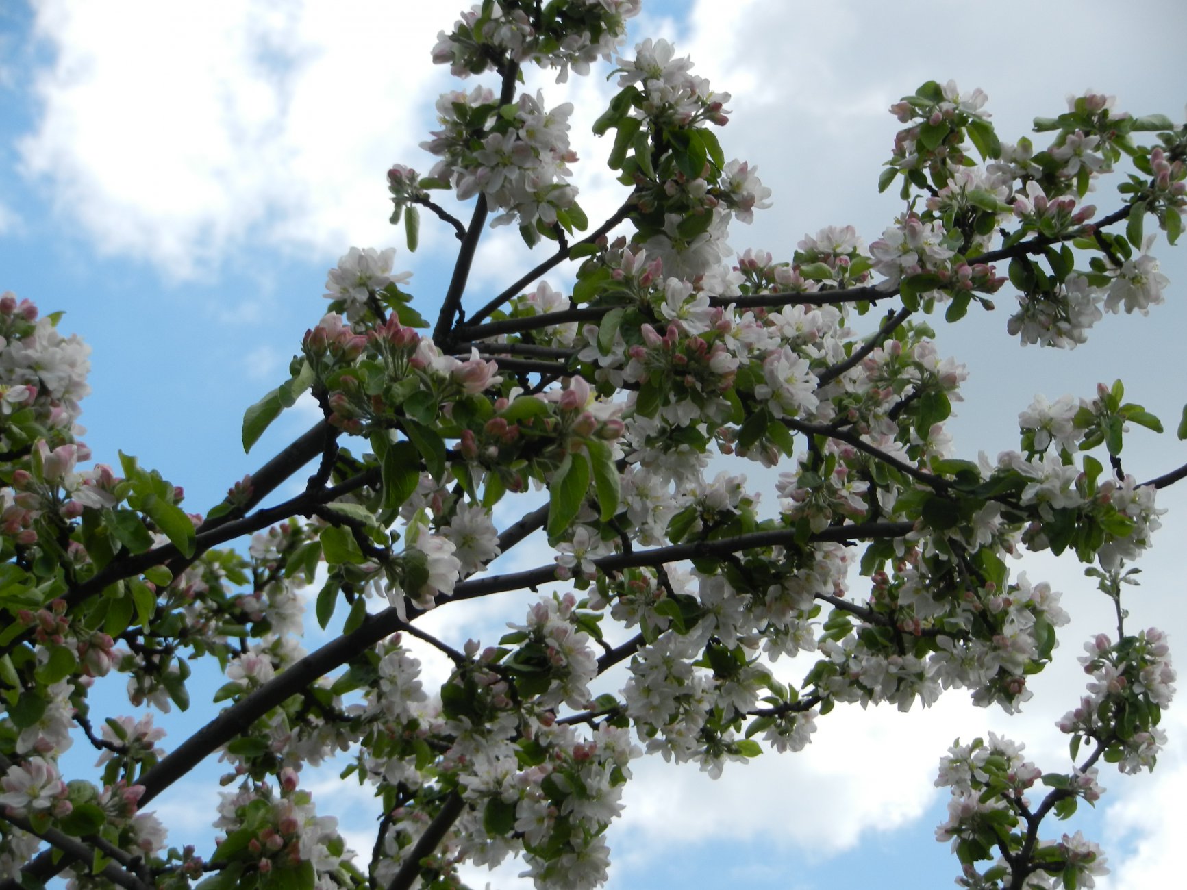 DSCN0573.JPG