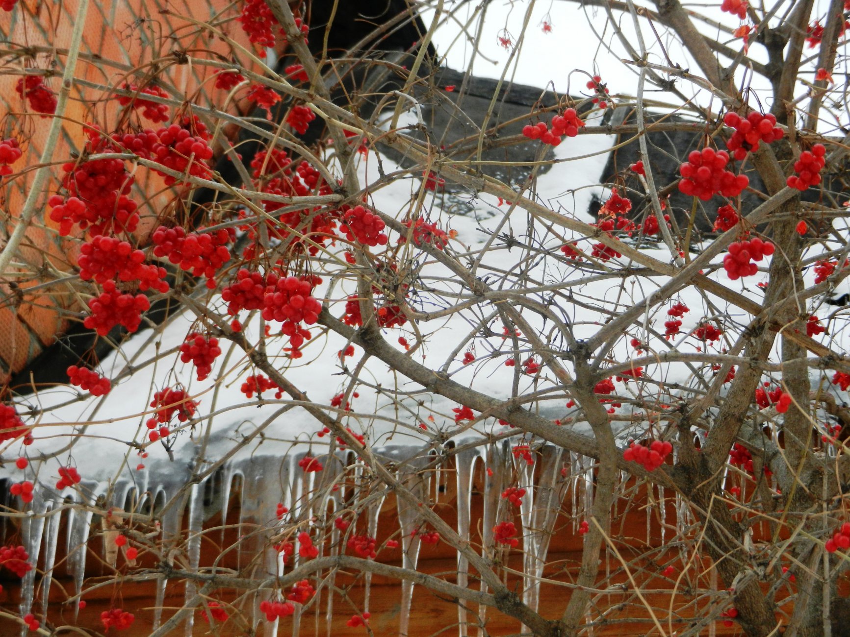 DSCN0575.JPG
