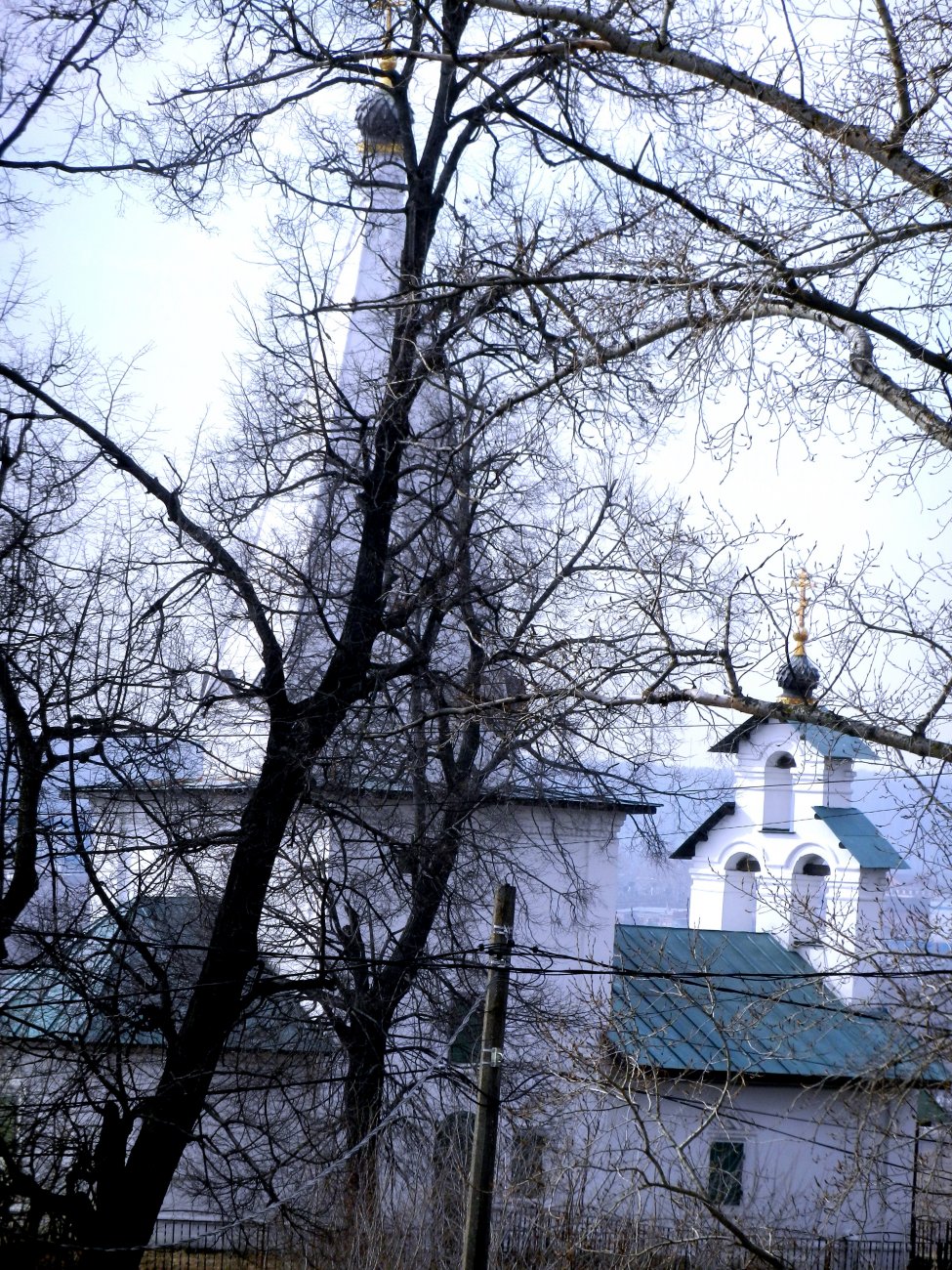 DSCN0669.JPG