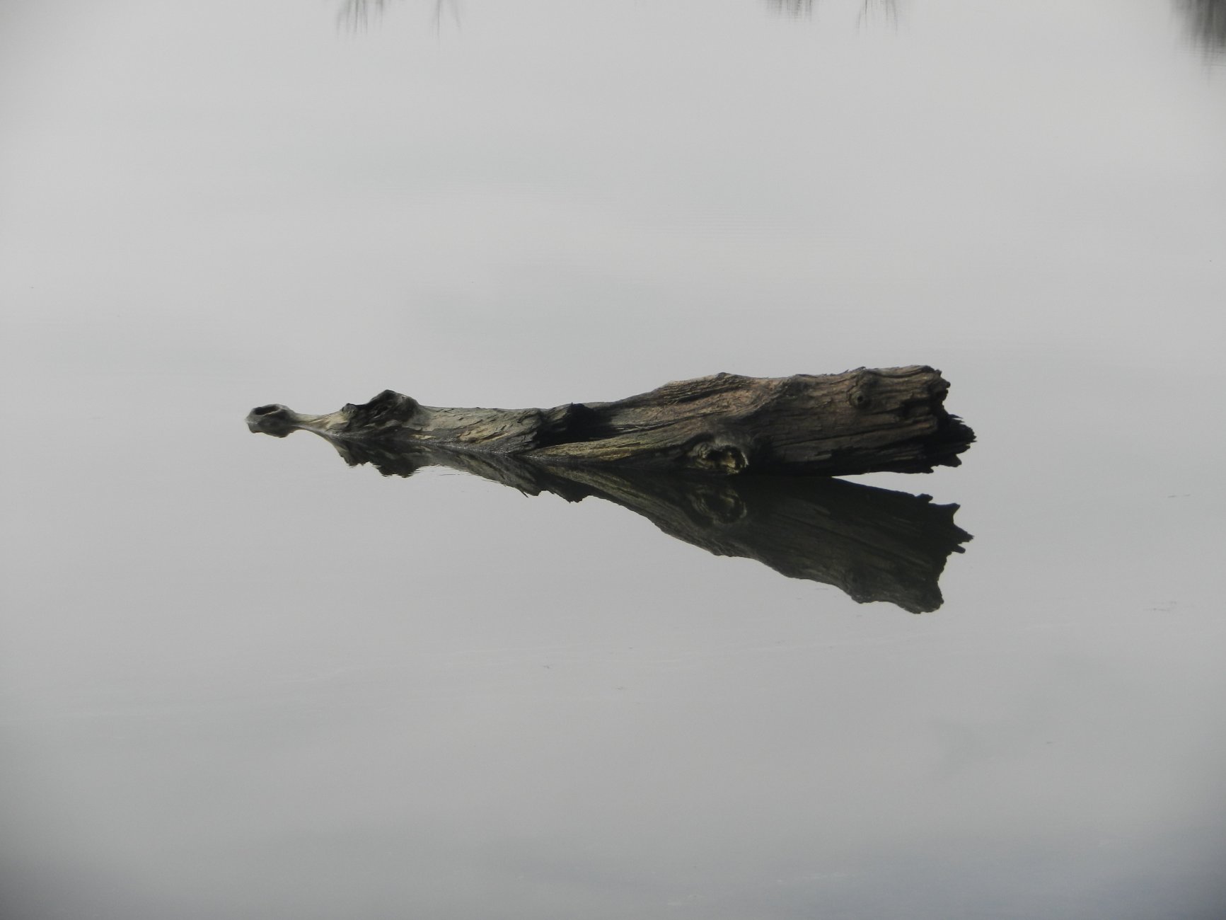 DSCN0702.JPG