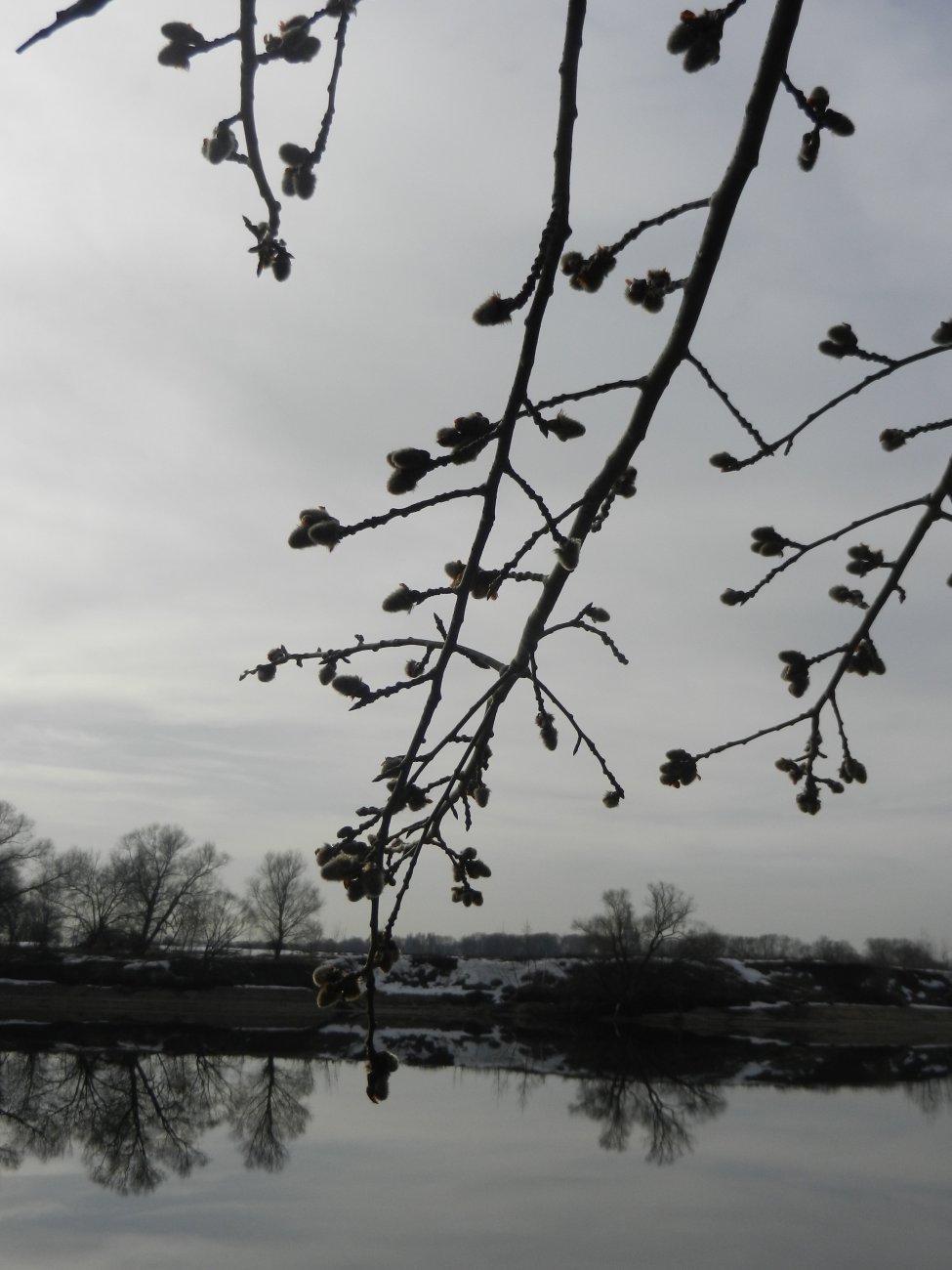 DSCN0715.JPG