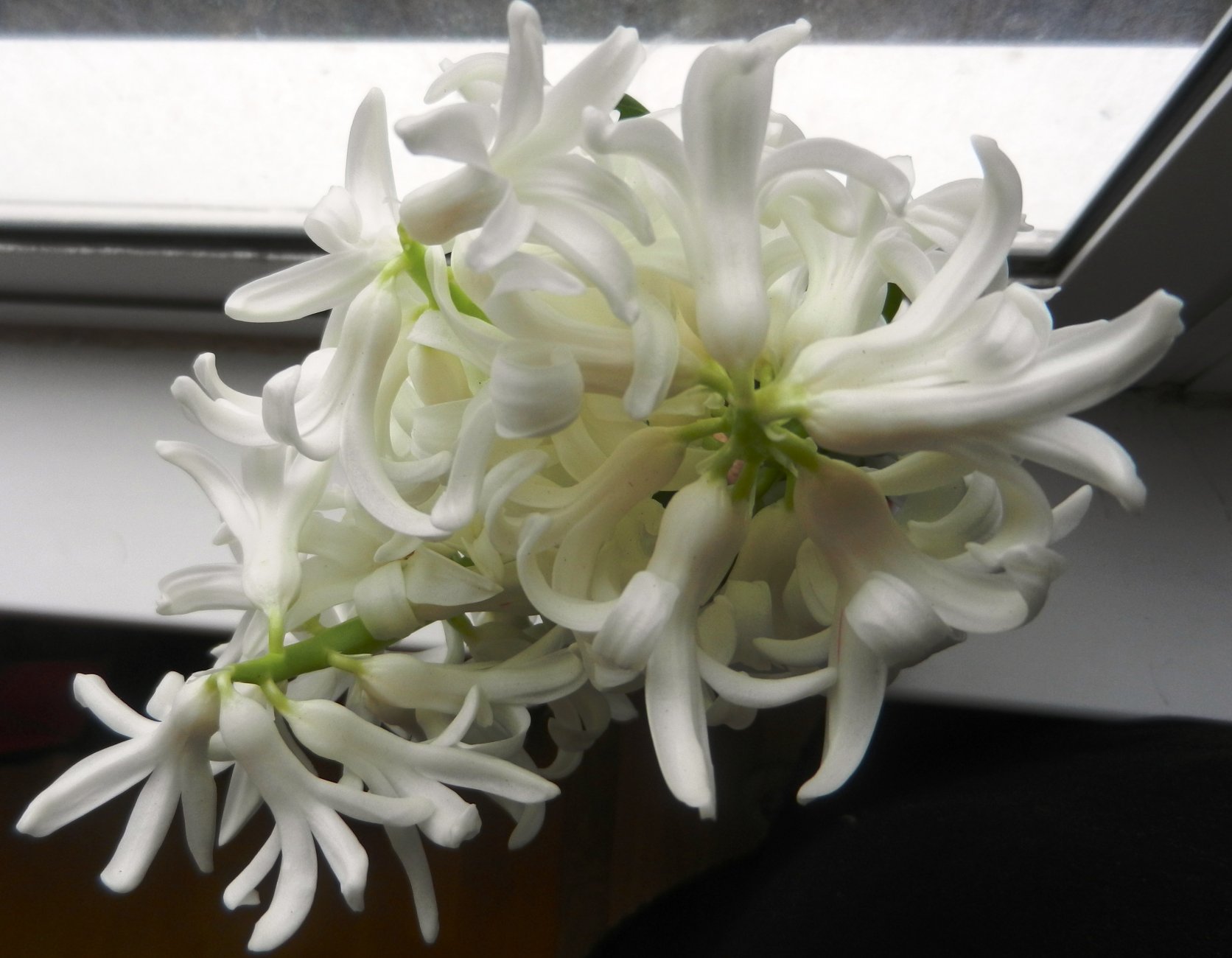 DSCN0732.JPG